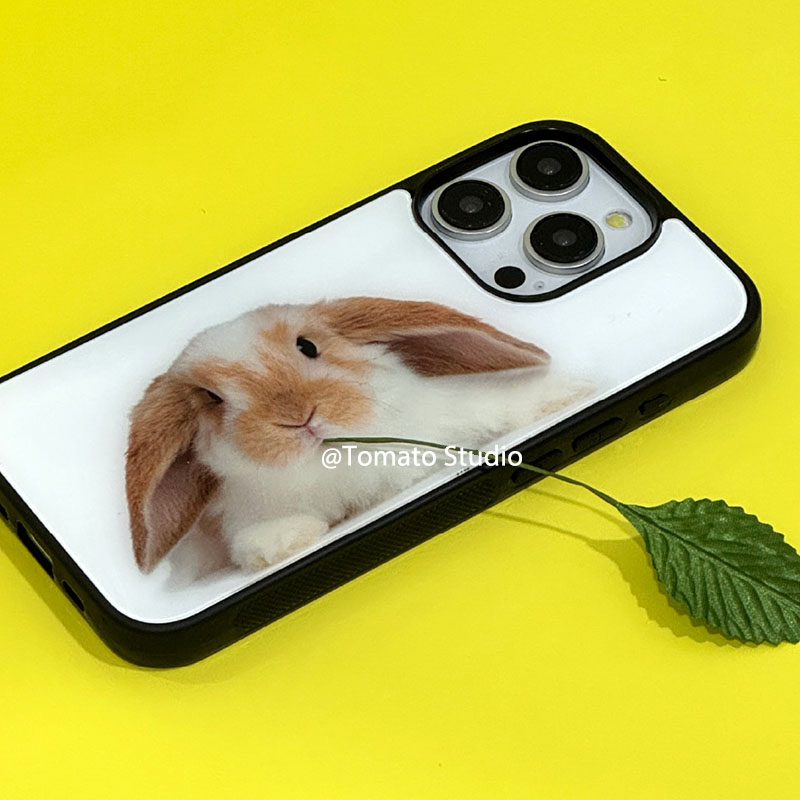 니치 동물 사진 Y2K 스타일 아이폰 17A 16 15 - Photography With Iphone 15 리뷰 및 가격