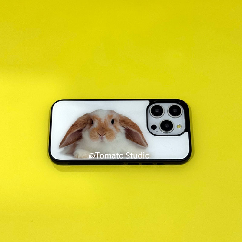 니치 동물 사진 Y2K 스타일 아이폰 17A 16 15 - Photography With Iphone 15 리뷰 및 가격