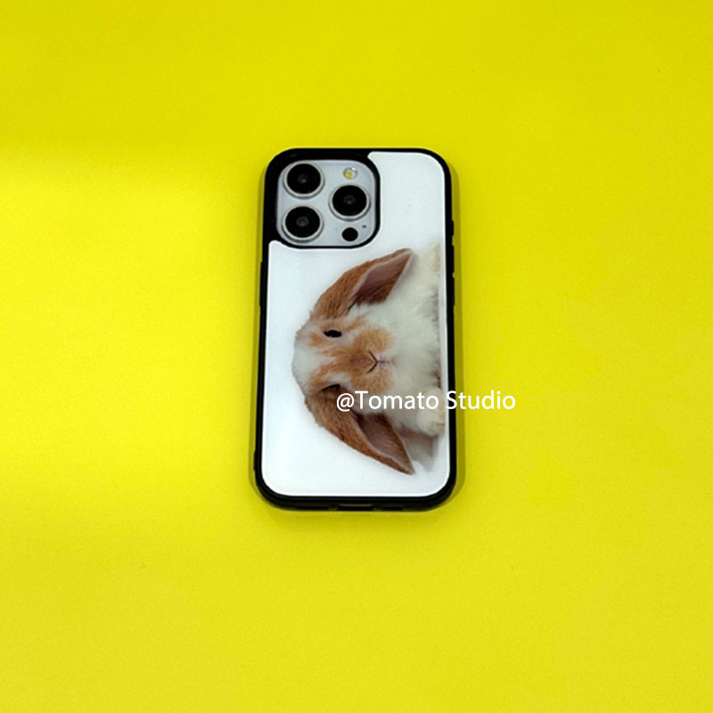 니치 동물 사진 Y2K 스타일 아이폰 17A 16 15 - Photography With Iphone 15 리뷰 및 가격